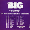 Mr.Big - Big Love