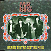 Mr.Big - Green Tinted Sixties Mind