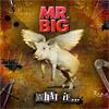 Mr.Big - What If...